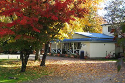 Porepunkah Pines Holiday Park - Accommodation Bookings 0