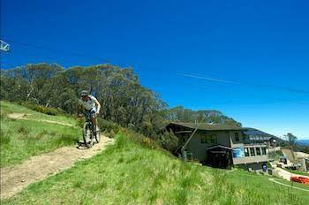 Snowlands Apartments - Accommodation Bookings 1