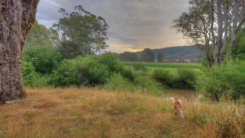 Buffalo River Homestead - Accommodation Bookings 3