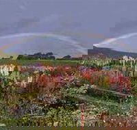Boat Harbour Garden Cottages - Accommodation Bookings