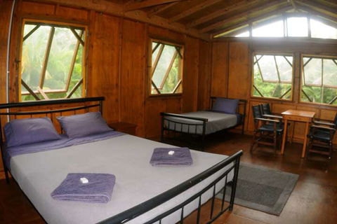 Daintree Rainforest Bungalows - Accommodation Bookings 4