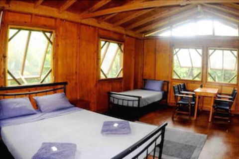 Daintree Rainforest Bungalows - Accommodation Bookings 5