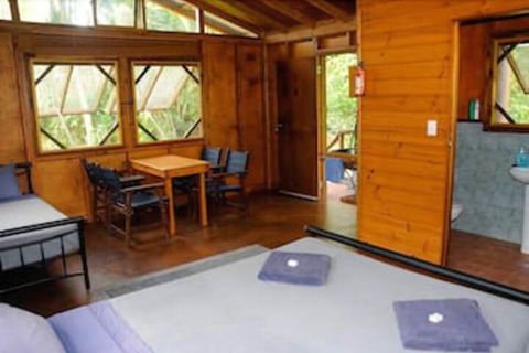 Daintree Rainforest Bungalows - Accommodation Bookings 6