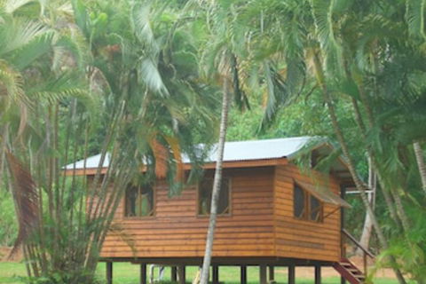 Daintree Rainforest Bungalows - Accommodation Bookings 0