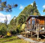 Southern Forest Accommodation - Accommodation Bookings