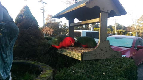Grand Country Lodge Motel - Accommodation Bookings 3