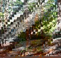 Green Leaves Cabin - Accommodation Bookings