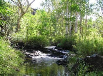 Mt Hart Homestead - Accommodation Bookings 4