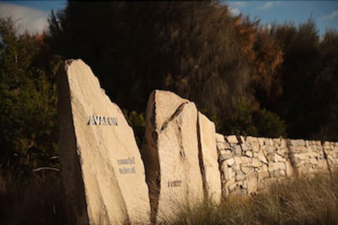 Avalon Coastal Retreat - Accommodation Bookings 3