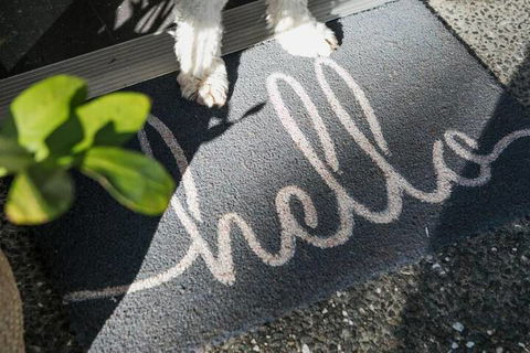 Noosa Heads Motel - Accommodation Bookings 2