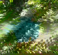 Palm Cove Tropic Apartments - Accommodation Bookings