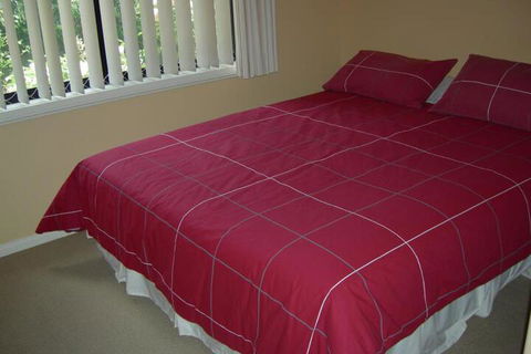Busy Buzz B & B - Accommodation Bookings 4