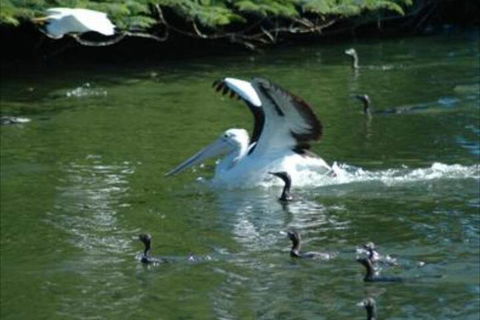 Alexander Lakeside Bed & Breakfast - Accommodation Bookings 5