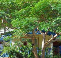 Amber Gardens Guesthouse