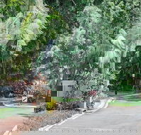 Oasis at Palm Cove - Accommodation Bookings