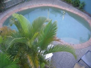 Noosa River Sandy Shores - Accommodation Bookings 4