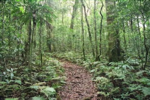 Goomburra Forest Retreat - Accommodation Bookings 5