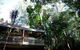 Rumbalara Bed And Breakfast - thumb 3