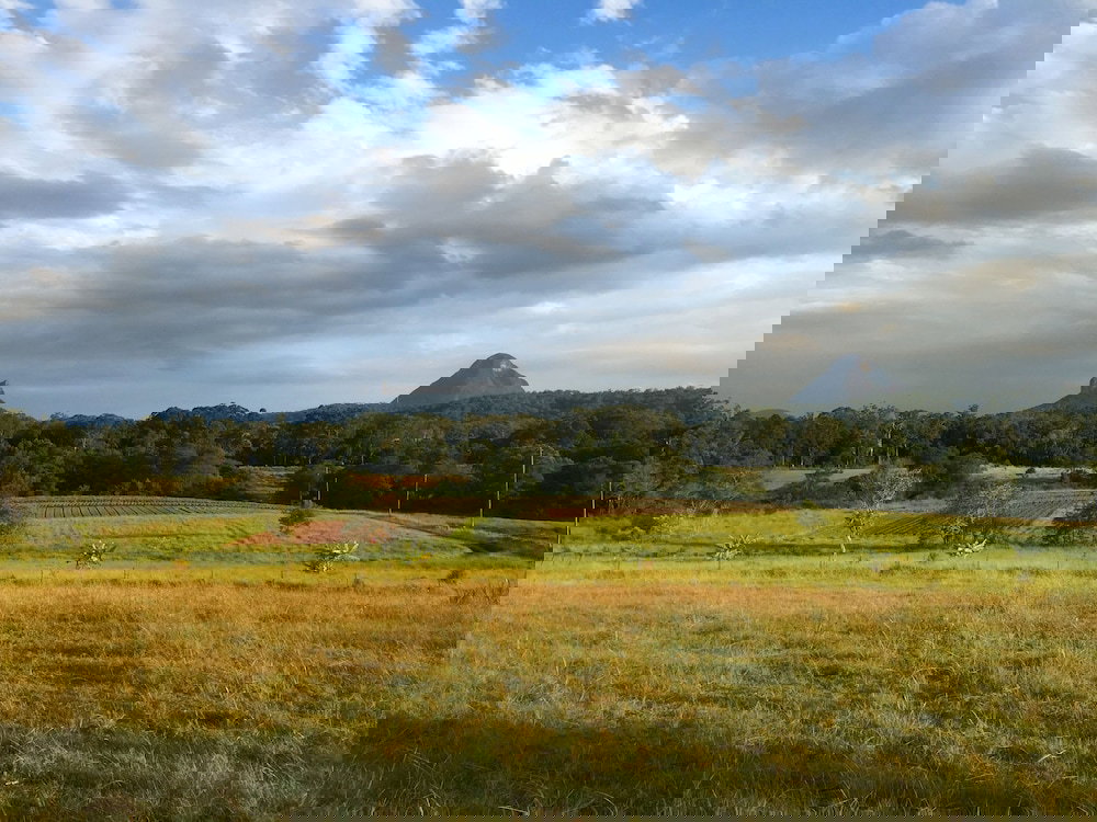 Peachester QLD Accommodation Bookings