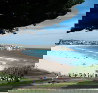 Bondi 38 Serviced Apartments - Accommodation Bookings