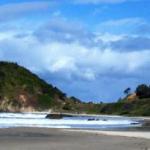 Cara Nobbys Beach 11 Wesley Avenue - Accommodation Bookings 1