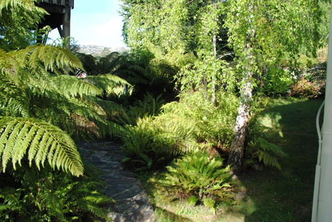 The Wombat Cottage - Accommodation Bookings 4