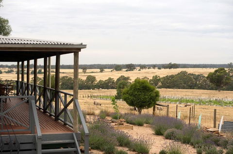 Gilgraves Vineyard Farmstay - Accommodation Bookings 2