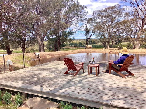 Gilgraves Vineyard Farmstay - Accommodation Bookings 6