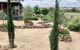 Gilgraves Vineyard Farmstay - thumb 1