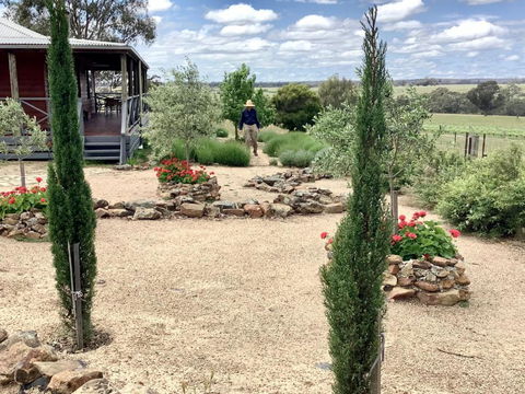 Gilgraves Vineyard Farmstay - Accommodation Bookings 1