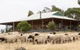 Gilgraves Vineyard Farmstay - thumb 0