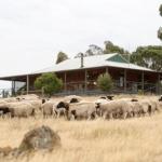 Gilgraves Vineyard Farmstay - Accommodation Bookings 0