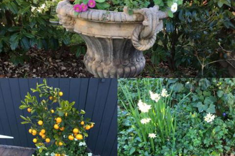 Clubbe Cottage - Accommodation Bookings 7