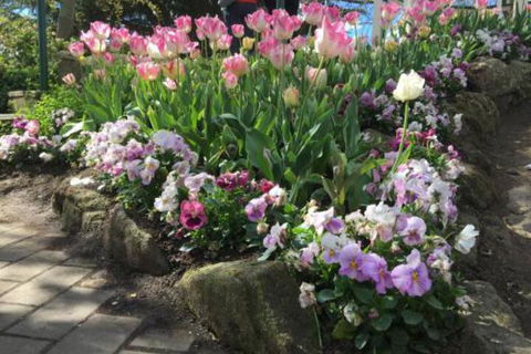 Clubbe Cottage - Accommodation Bookings 2