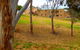 Morialta Barns - thumb 3