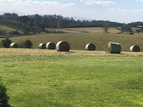 Windrush BnB Comboyne Australia - Accommodation Bookings 3