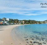 Matador Flat Pet Friendly Accommodation - Accommodation Bookings