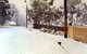 Lemon Tree Cottage - thumb 4