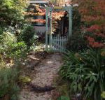 Lemon Tree Cottage - Accommodation Bookings