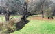 Historic Oak Hill House Estate Truffle Gourmet Festival Region - thumb 1