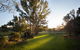Historic Oak Hill House Estate Truffle Gourmet Festival Region - thumb 5