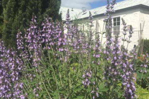 Petschel House - Accommodation Bookings 1