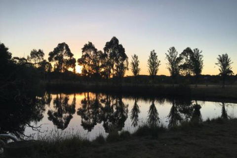 Petschel House - Accommodation Bookings 5