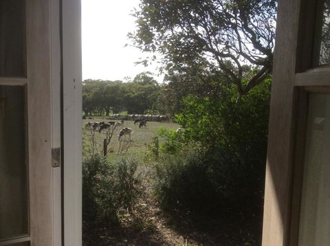 Aashay B & B - Accommodation Bookings 3