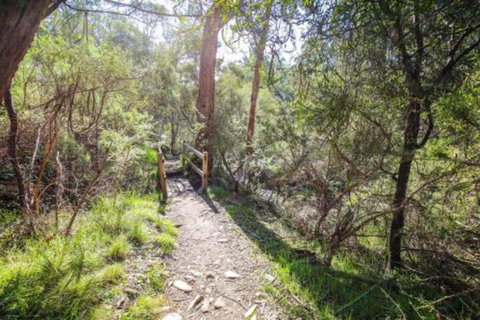 Northern Exposure - Accommodation Bookings 7