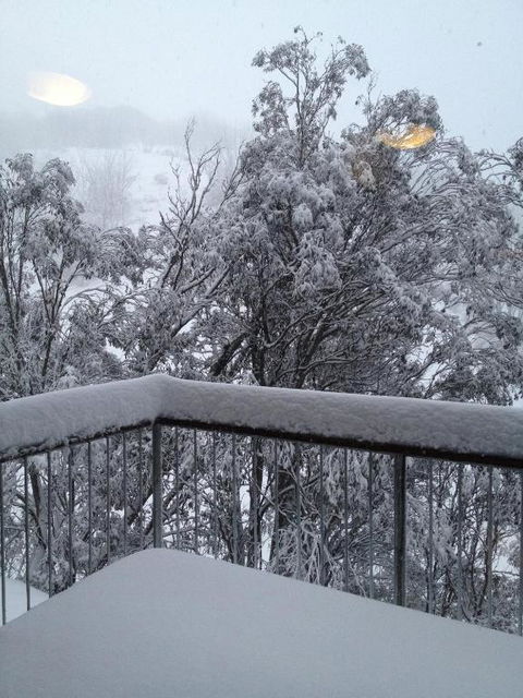 Maisonette Falls Creek - Accommodation Bookings 1