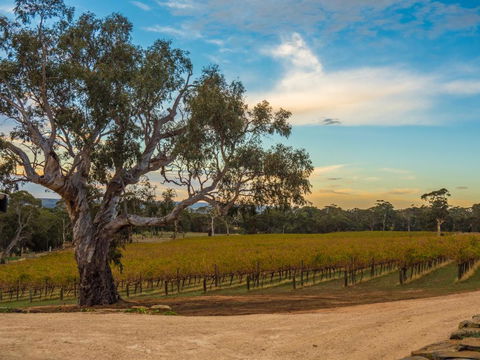 Shadow Creek McLaren Vale - Accommodation Bookings 3
