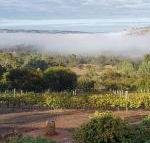 Pecan Hill BNB - Accommodation Bookings