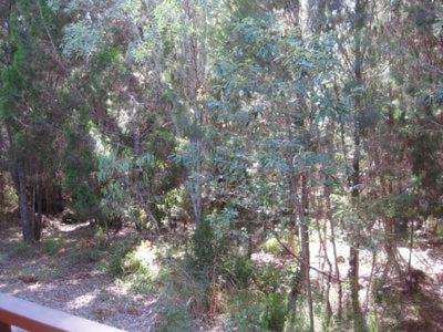 The Sanctuary - Accommodation Bookings 3