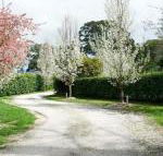 Robin Hill Manor rambling retreat  tennis court - Accommodation Bookings